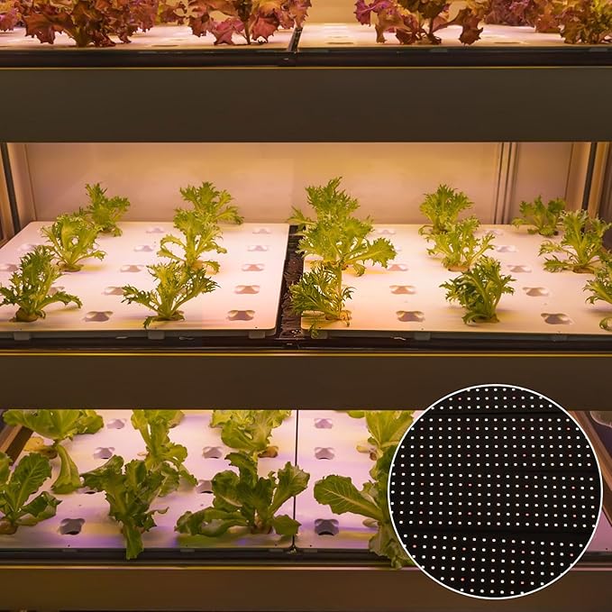 Fockety LED Grow Light for Indoor Plants Full Spectrum Plant Growing Lamp with 24H Timer High PPFD Energy Saving for Orchids Tomatoes Succulents 11.8 x 3.1 Inch Ultra Thin Panel (3 Head)