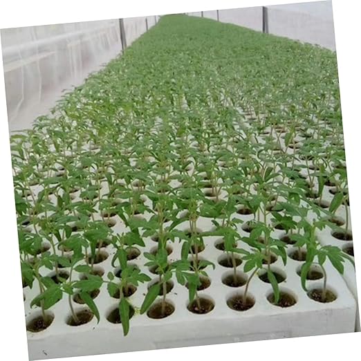 POPETPOP 120pcs Hydroponic Wool Cubes for Soilless Planting for Growth High Water-Holding Capacity for Home Gardening and Indoor Projects