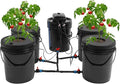 Deep Water Culture Hydroponics Systems w/Air Pump 5.28Gal Recirculating Deep Water Culture w/Reservoir Bucket &amp 4 Planting Buckets DWC Growing System kit for Planting Tents Greenhouses Balconi