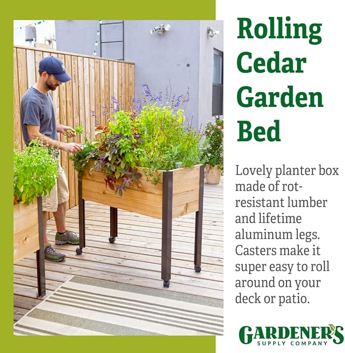 Gardener's Supply Company Raised Garden Bed Elevated Cedar Planter Box with Wheels | 39-1/2 L x 16-1/2 W x 32 H Rolling Planter for Outdoor Vegetables and Flower Gardening