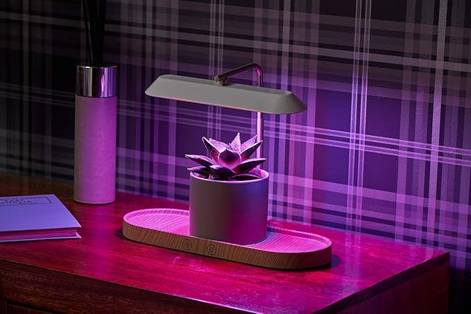 Auraglow LED Plant Grow Light with Hydroponic Full Spectrum Grow Mode &amp Display Lamp for Herbs Fruit Veg &amp Indoor Plants
