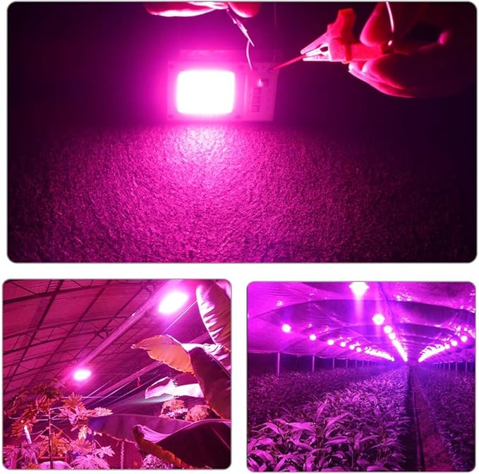 Lights 10pcs LED Phyto Lamp 10W 20W 30W 110V 220V Full Spectrum Growing Lamps Floodlight Source Indoor Tent Greenhouses Plants Seeding (Size : 110V Color : 20W)