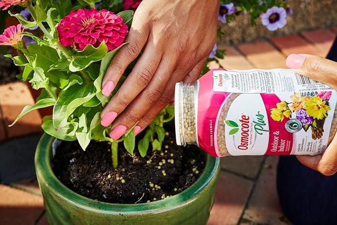 Osmocote Smart-Release Plant Food Plus Outdoor &amp Indoor 1 lb. (Pack of 12)