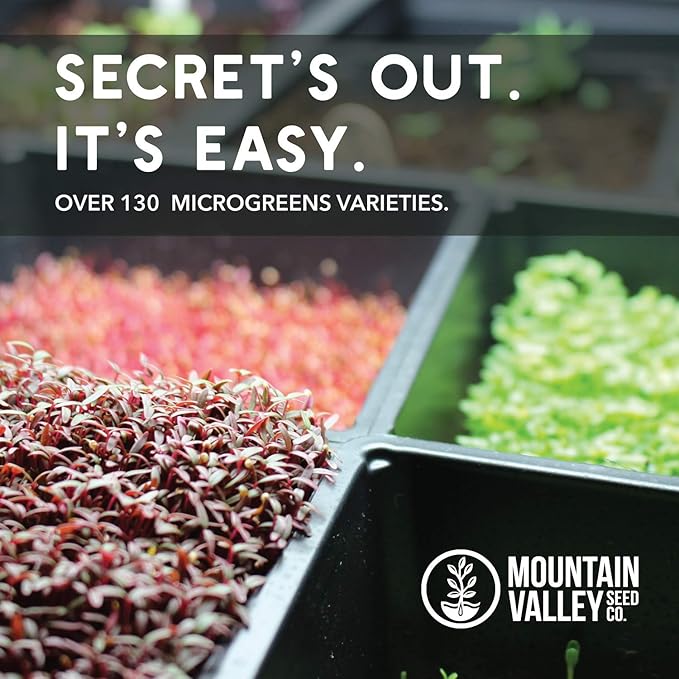 Spicy Micro Salad Mix Microgreens Seeds: 1 Lb - Non-GMO Seed Blend: Broccoli Kale Mustard Cabbage Arugula More