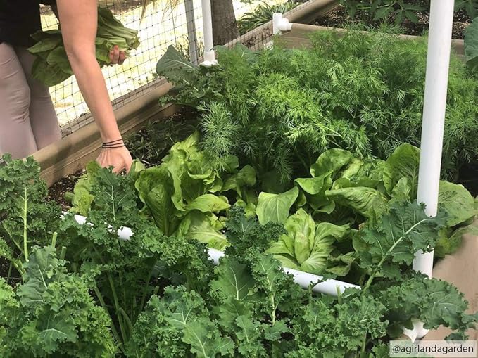 Grassroots Fabric Pots Raised Beds (2' x 4' w/Trellis &amp Blumat Irrigation Kit)