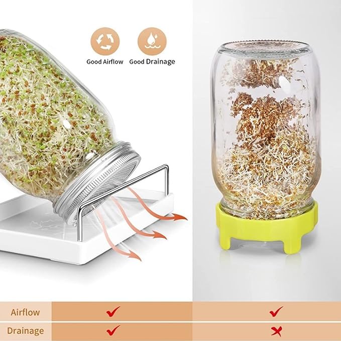 Bean Sprouts Grow Kit Air Circulation and Drainage Multipurpose Sprouts Growing Kit with 2 Bottles for Beans Alfalfa Seeds
