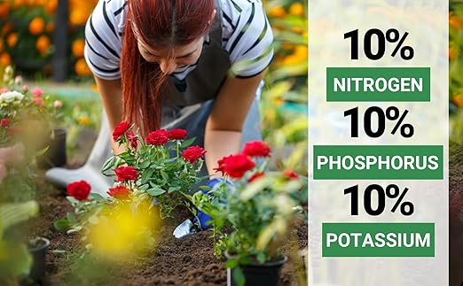 10-10-10 Liquid Fertilizer &amp 10-10-10 All-Purpose Granular Fertilizer Bundle for All Purpose Plants - Plant Food Outdoor &amp Indoor Plant Food Vegetables Flowers Garden (8oz &amp 2 Quarts)