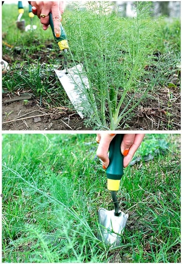 Garden Tool Set 5 Piece Stainless Steel Heavy Duty Gardening Tool Set Mini Garden Plant Tool Loose Soil Pot Planting Flowering Tool for Seedling Digging Weeding