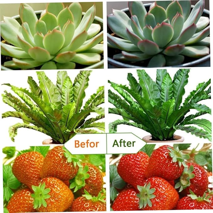 9w Grow Light Led Plant Grow Lamp Dimmable Levels for Indoor Herb Garden Timing Auto Off Full for Vegetative Growth