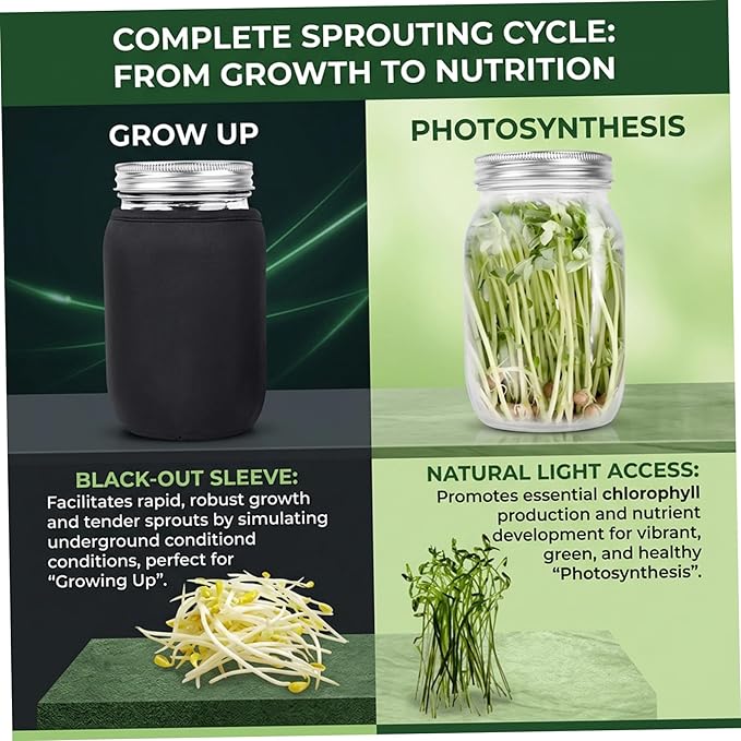 Sprouting Jar Kit Complete Seed Sprouting Jar Kit with Stainless Steel Stand &amp Drip Tray Easy Home Sprout for Microgreens Beans Broccoli