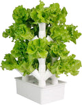 32 Pods Garden Hydroponic Growing SystemAquaponics Grow Planting EquipmentDIY Plant Kit for Plant Vegetable Tool Hydroponic Growing System