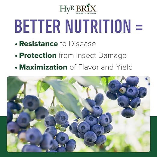 HyR BRIX Slow-Release 6-8-9 Fruit &amp Berry Fertilizer 45lb Bag - Plant Food with Calcium &amp Sulfur - Essential Micronutrients for Better-Tasting Fruit &amp Higher Yields