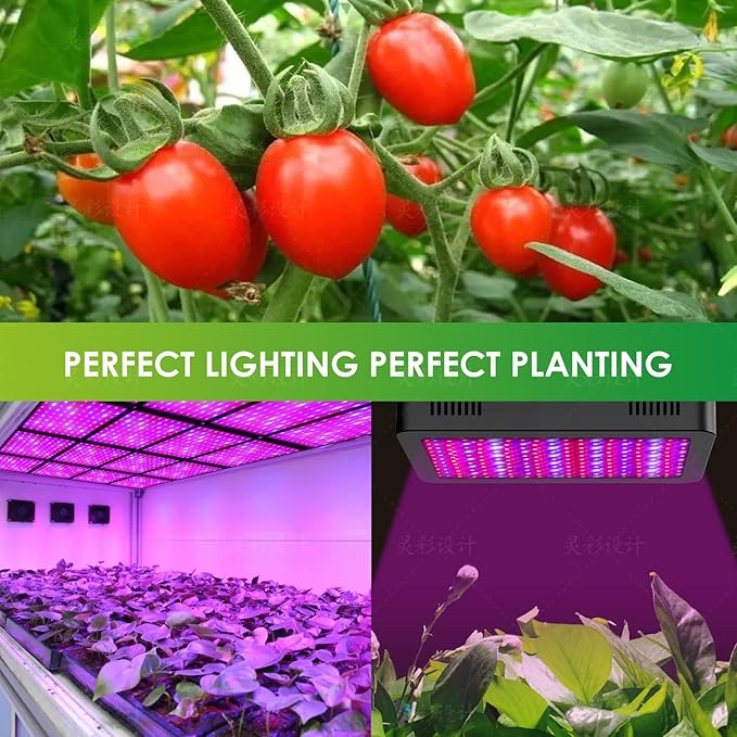 1200W LED Grow Light Full Spectrum Plant Light with Daisy Chain Grow Lights for Indoor Plants Greenhouse Hydroponic Growing Lamps with Veg Bloom Switch