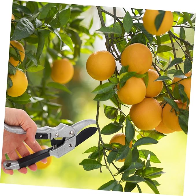 Aluminum Alloy Garden Tool Set for Gardening 6-Piece Heavy-Duty Gardening Tools Pouch Multifunctional Shovels for Outdoor and Indoor Use