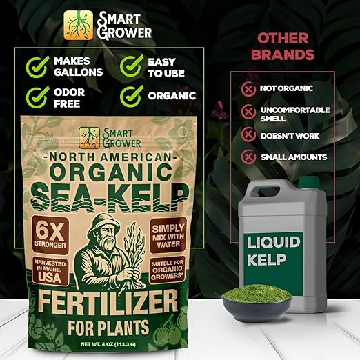 Organic Sea Kelp Fertilizer for Plants – Water-Soluble – Makes 100 Gallons – Kelp Meal Concentrate Plant Food – for Indoor Gardens Hydroponics Vegetables Houseplants - Smart Grower - 4oz Bag