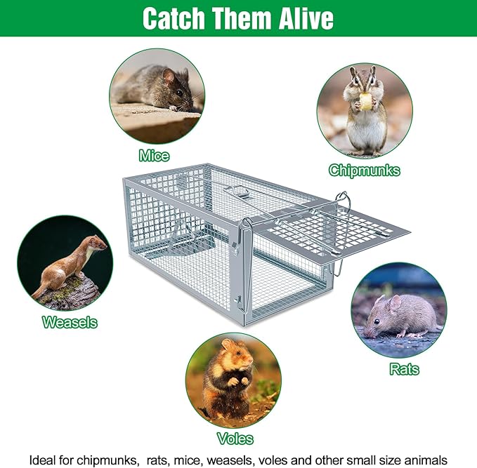 4 Packs Humane Rat Trap Outdoor Wanqueen Humane Mouse Traps Indoor for Home Small Rodent Chipmunk Squirrel Trap and Other Live Animal Cage Catch and Release