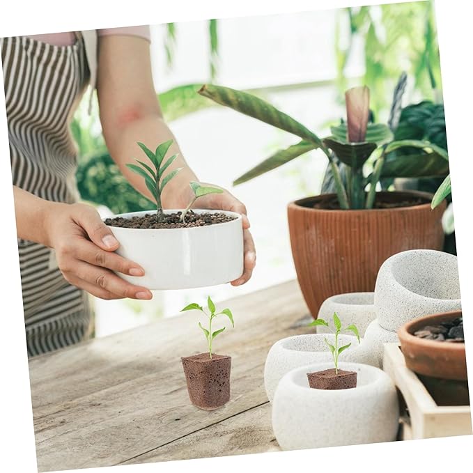 BESPORTBLE 120pcs Seed Starter Blocks for Hydroponics Nutrient Cubes for Germination Grow Plugs for Indoor Garden and Vegetable Plants Safe Material for High Transplant Success