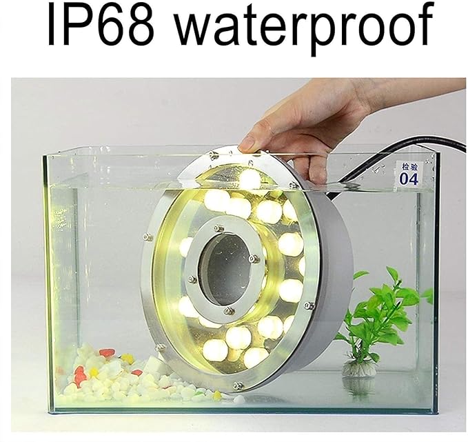Underground Lights LED - 12/24V Underwater Landscape Spotlight Center Hole IP68 Underwater Pond Spotlight Suitable for Garden Fountain Pool and Other Multi-scBlue 12w(AC24V)