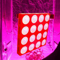 Hanchen Grow Light LED Grow Light Plant Light 16pcs Plant COB Lamp Growing Light Bulb 15840LM for Indoor Greenhouse Seeding Vegetable Flower Fruit Herb Foliage Plant with CE Certificate
