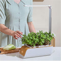 Hydroponic Kit Indoor Lamps for Growing Plants Low Water Level IndicatorSmart Chip Control Growing Plants Indoors Kit for Garnishing Vegetables and Fruits