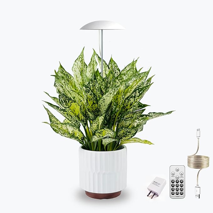LED Grow Lights for Indoor Plants Smart USB Small Full Spectrum Plant Lights with Remote Height Adjustable Auto On/Off Timer Ideal for Home Decoration