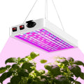 LED Plant Grow Light BW1000 Dimmable Grow Lights Full Spectrum Hanging Growing Lamps for for Indoor Plants Greenhouse Seedlings Vegetables FlowersLarge (B2-2000W)