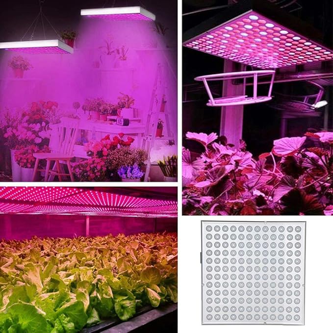 45W 144 LED LED Plant Growth Lamp Full Spectrum for Greenhouse Hydroponic Plants from Sowing to Harvesting LLP-LED (Color : AU Plug)