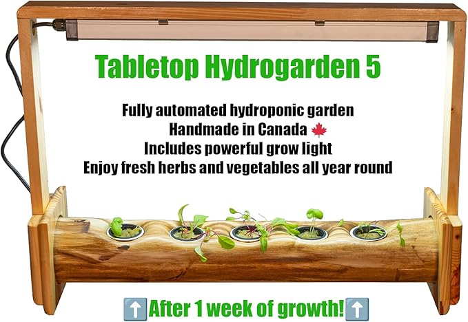 Tabletop Hydrogarden 5 Spots