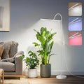 3CCT Grow Lights for Indoor Plants 168 Full Spectrum LED Plant Light for Indoor Growing with 180° Expandable Lamp Head 4/8/12H Dimmable 67in Tall Adjustable Standing Grow Light with 360° Gooseneck