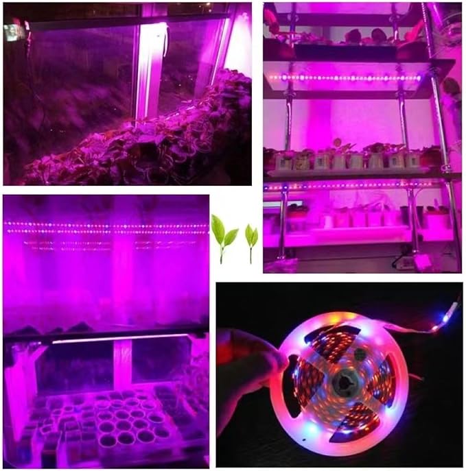 Grow Lights for Seed Starting 16.4FT Full Spectrum LED Plant Grow Light Strips Red &amp Blue 5:1 Waterproof Flexible Growing Lamp for Greenhouse Hydroponics