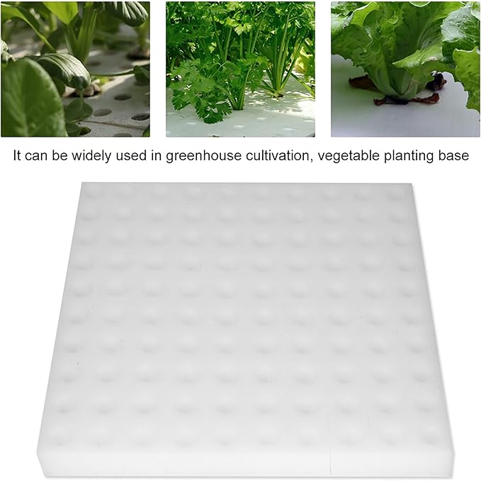 Generic Sponge Cubes for Hydroponics10Pcs Hydroponic Sponge Planting Gardening Tool Square Seedling Sponges for Greenhouse Small Bud Growth or Grow Seedlings White