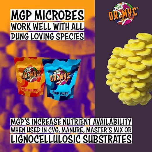 DRMyc.com - MGP Pure - Growth Promoter for Mushrooms. Our Substrate Probiotic Increases Colonization Speed Fruiting Size + Faster Flushes - (10 Grams)