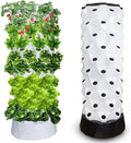 Hydroponics Tower - Hydroponics Growing System for Indoor Herbs Fruits and Vegetables - Aeroponic Tower with Hydrating Pump Timer Adapter Seeding Bed &amp Net Pots6floors