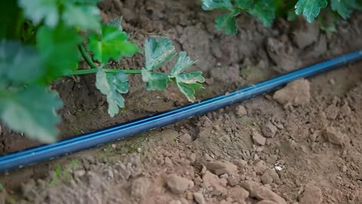 Drip Tape for Garden Irrigation-5/8 8 mil Thick 4 inch spacing of emitters 1.34 GPM/100' (300 Feet)