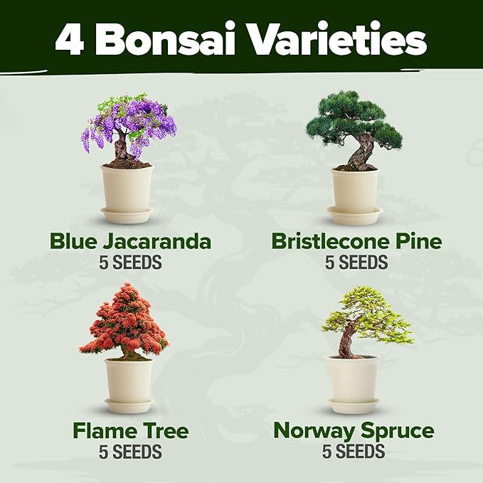 2000+ Vegetable Seeds for Planting - Bonsai Tree Kit - Gifts for Men &amp Women