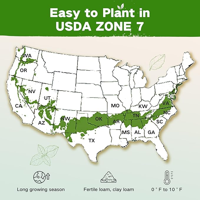 Lush&ampDew Year-Round USDA Zone 7 Seed Bank Gift for Mom Dad 32 Varieties Non-GMO Heirloom Seeds of Vegetables Flowers Gardening Gifts for Women Men Survival Kit for Raised Garden Bed Greenhouse