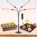 FECiDA 2026 4Head Table Top Grow Lights for Seed Starting Indoor Plants Bonsai 36 Watt Power Draw NO Need Adapter 4/8/12/16/20H Timer 16-24 Height Adjustable
