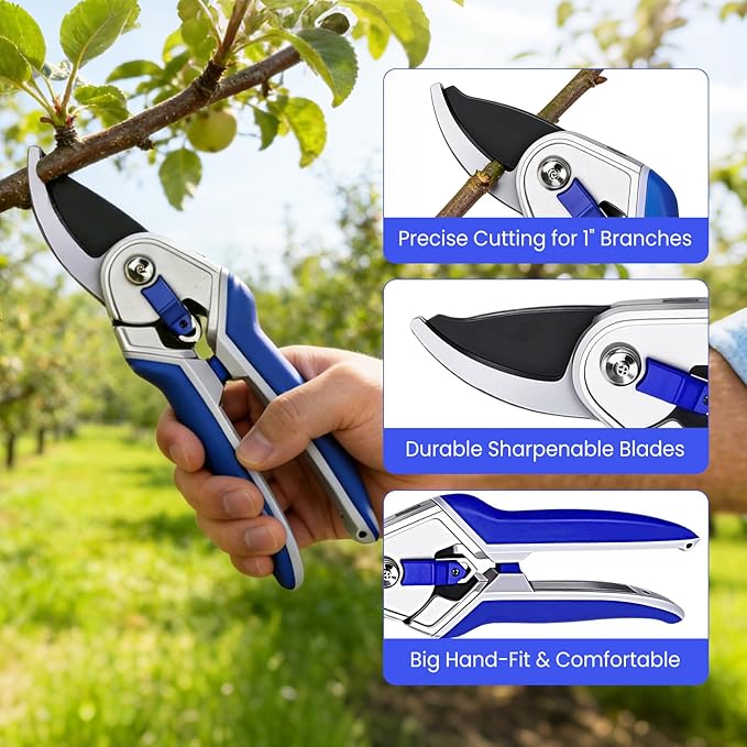 Garvee Professional Pruning Shears &amp Garden Shears Set | Stainless Steel Blades with Ergonomic Comfort Grip | Essential Gardening Tools for Women &amp Plant Care Enthusiasts