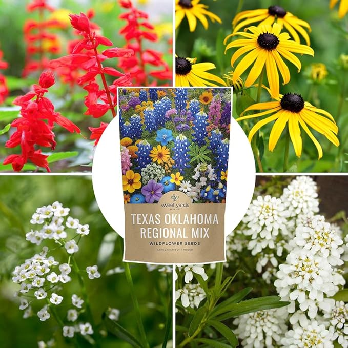 Texas Oklahoma Regional Mix Seeds for Planting - Bulk 1 Pound Bag - Over 240000 Native Seeds - Open Pollinated and Non GMO