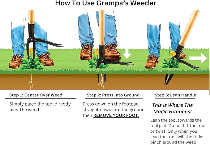 Grampa's Weeder - The Original Stand Up Weed Puller Tool with Long Handle - Made with Real Bamboo &amp 4-Claw Steel Head Design - Easily Remove Weeds Without Bending Pulling or Kneeling.