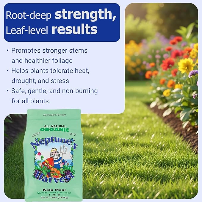 Neptune’s Harvest Organic Kelp Meal Plant Food (1-0-2) - 12 lb Resealable Bag - Multi-Purpose Seaweed Fertilizer - Indoor &amp Outdoor Plant Fertilizer for Lawns Gardens Vegetables &amp Bulbs