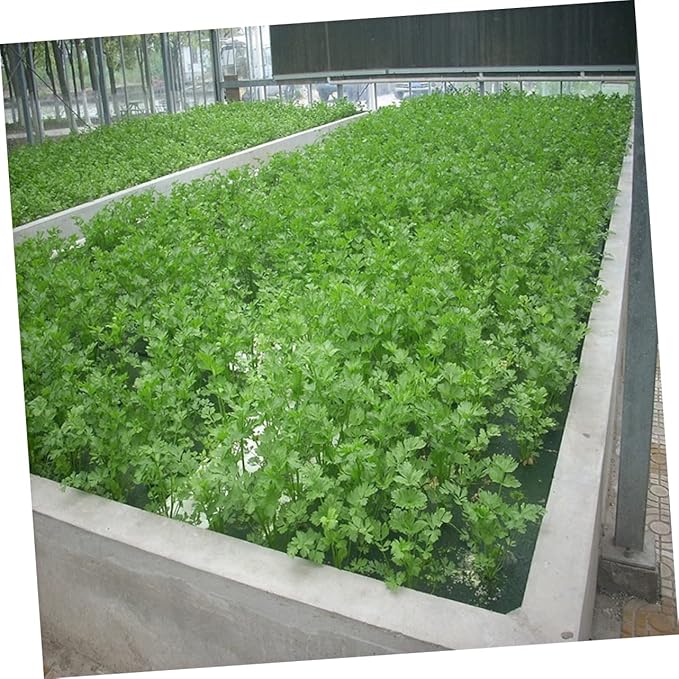 BESPORTBLE 1set Soil Hydroponic Planting Tray Set Cylinder Sponge Cups Floating Gardening System for Greenhouse Vegetable Cultivation Includes Planting Baskets and Sponge Tray