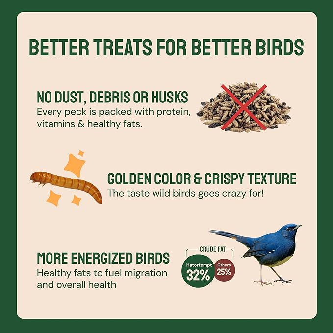 Hatortempt 2lb Dried Mealworms for Chickens - 50% Protein and 32% Essential Fats to Support Healthy Feather Growth During Molt - Organic Treats for Chickens Ducks Wild Birds &amp Reptiles