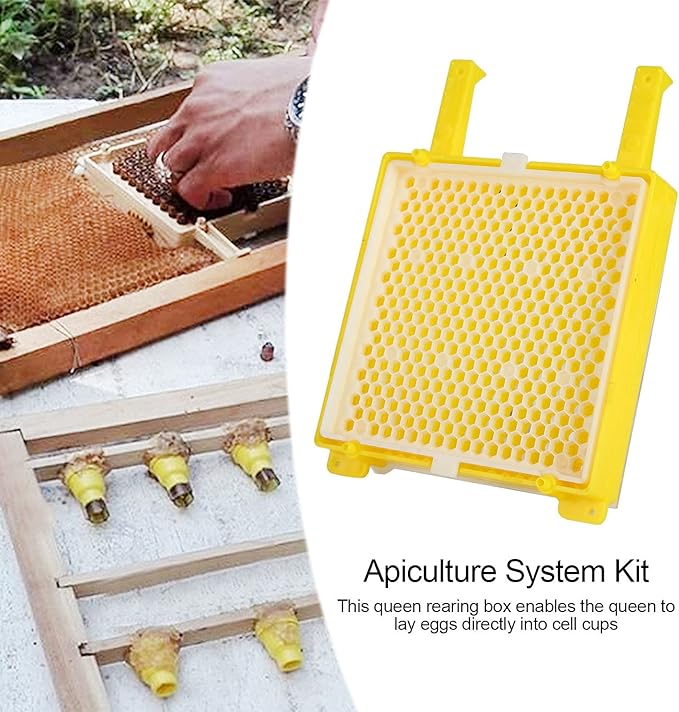 Queen Bee Rearing Kit Durable Plastic Grafting Tool Set for Beekeeping Complete System with Cell Cups and Marking Tools for Hive Management