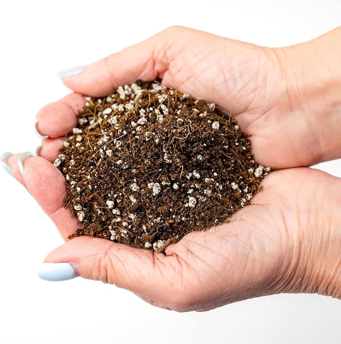 Gardenera Professional Carnivorous Plant Soil - Ready to Use for Venus Flytraps Sundews Pitcher Plants Butterworts | Peat Moss Coco Coir Perlite - 3 Quart Bag