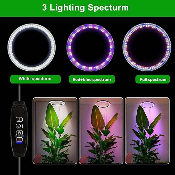 LED Grow Light Full Spectrum Plant Light with Timer 160 LEDs Height Adjustable Indoor Growing Lamp Black Auto On/Off 4H/8H/12H