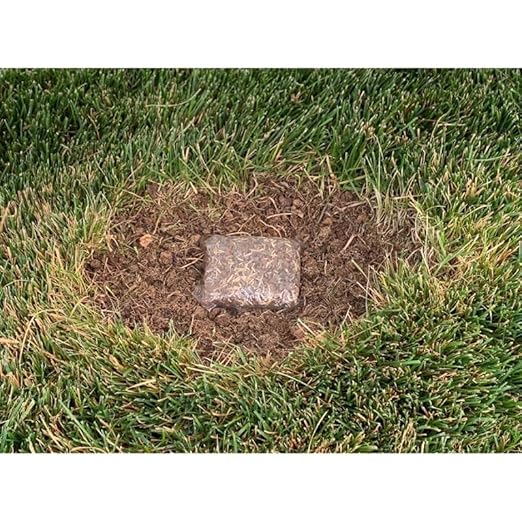 GRASS RAPID POD S/S 15PK