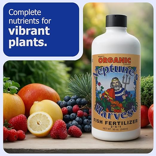 Neptune's Harvest Organic Plant Fertilizer | Liquid Fertilizer for Lawn Garden &amp Houseplant | Rich in Essential Nutrients | Hydrolyzed Fish 2-4-1 (Quart) + Tomato &amp Veg Plant Food 2-4-2 (Quar