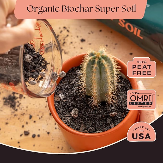 Rosy Soil Cactus and Succulent Potting Soil Mix for Houseplants - Fast Draining Organic Potting Soil for Succulents AloeVera Indoor Plant - Root Boosting for Drought Tolerant Growth Pack of 2