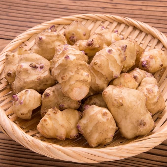 8 Oz Jerusalem Artichoke Tubers for Planting High Yield Sunchoke Rhizomes Bulbs for Planting Cold Hardy Gardening Indoor Outdoor